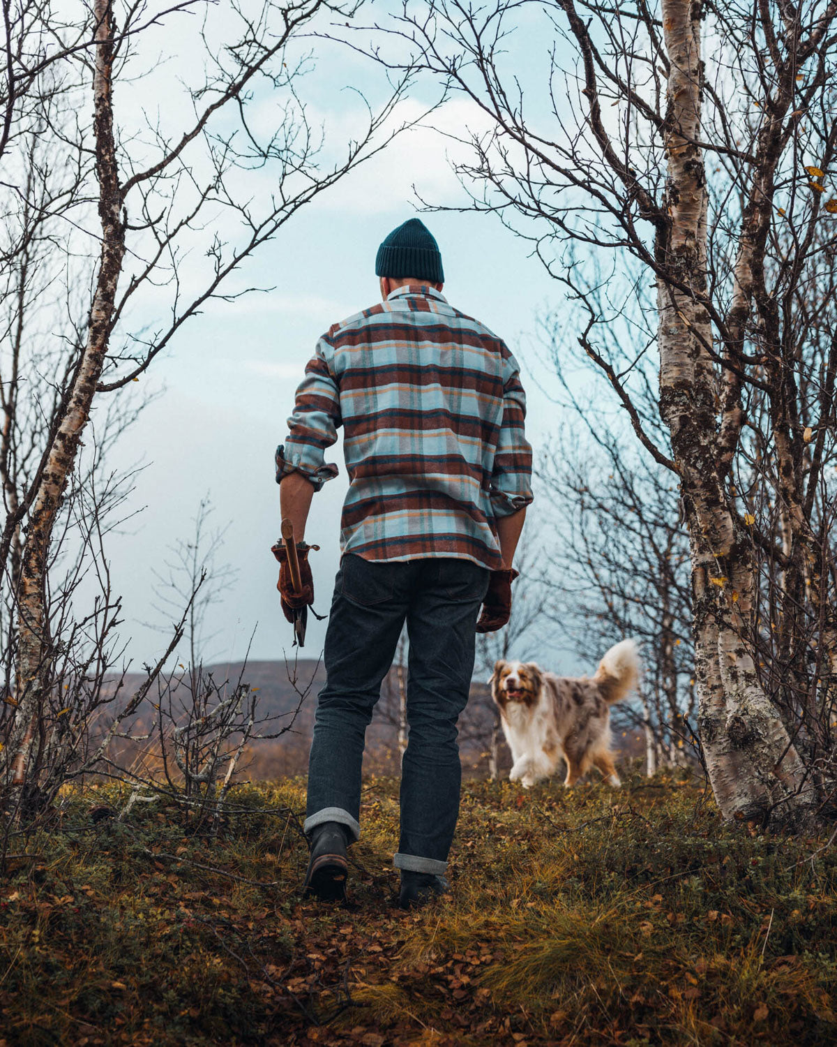 Grand Flannel, Cinnamon