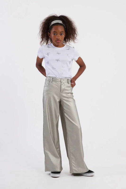Silver Woven Wide Leg Pants