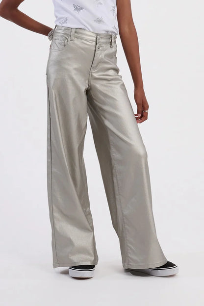 Silver Woven Wide Leg Pants