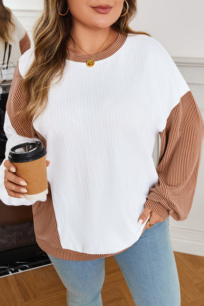 Plus Size Colorblock Cable Textured Top