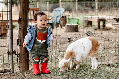 Ozznek Kids' Barefoot Shoes Set- Zenith Shoe Bundle