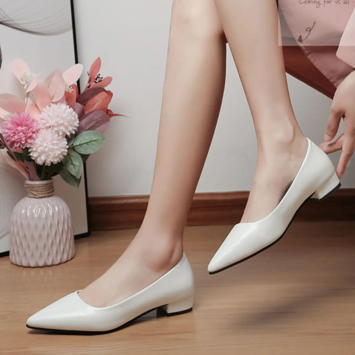 eab59b98-ecc7-41a9-bcc8-4b0da56edf08-Max-Origin